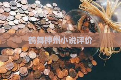 鹤舞神州小说评价